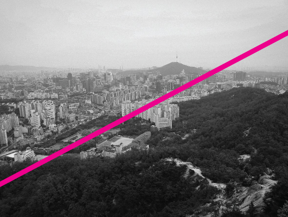 [e잎새통문 85호] 서울에서 71개의 공원이 사라진다