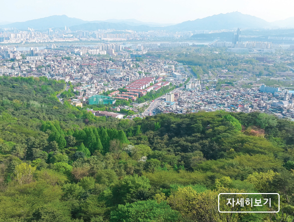 [e잎새통문 94호] 수도권 허파 그린벨트, 녹지로 보존하라!